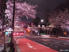 靖国神社前-1