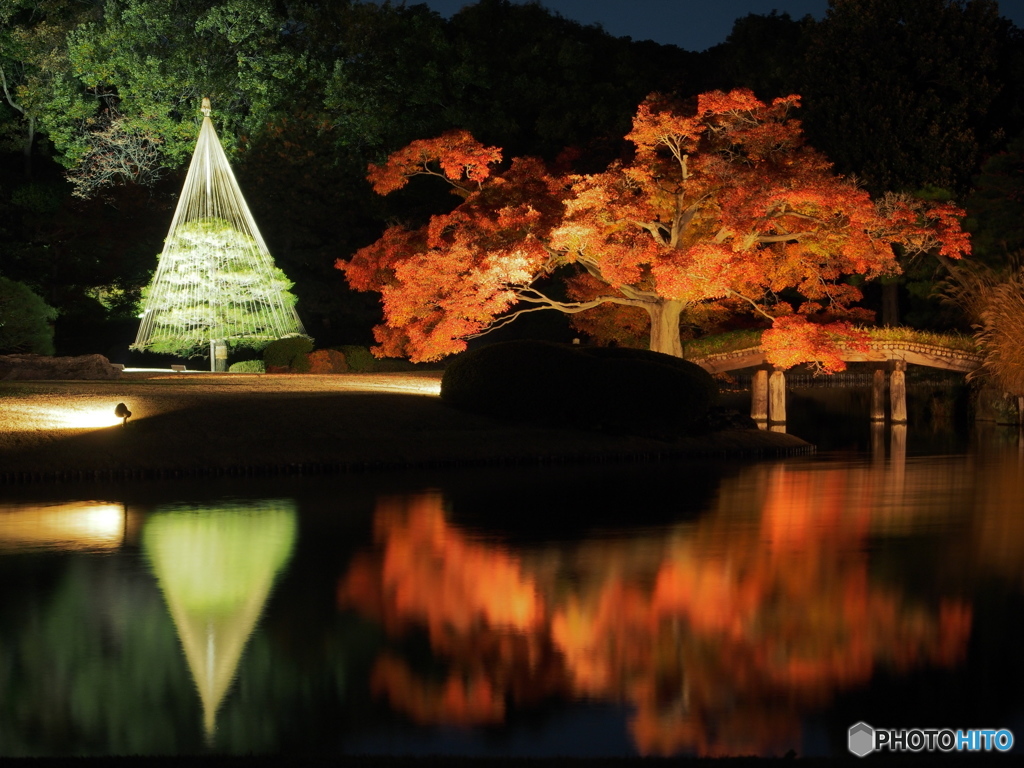 六義園紅葉－２