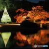 六義園紅葉－２