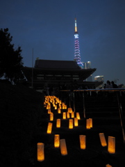 増上寺の七夕