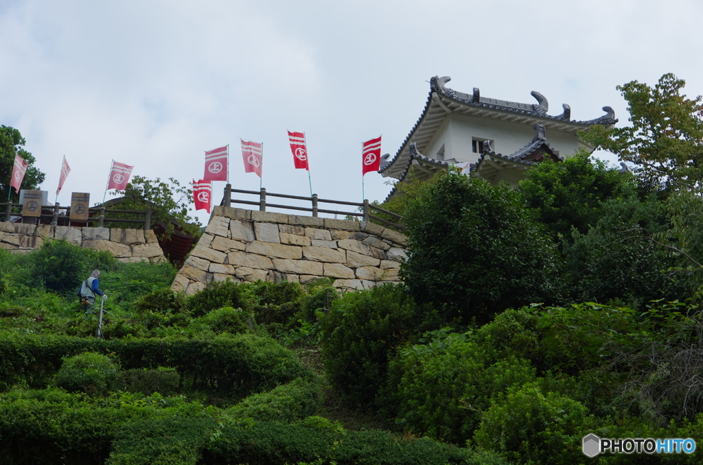 しまなみ海道-1