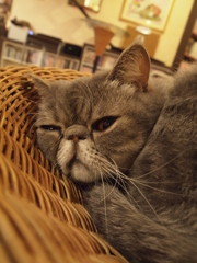 チラ見
