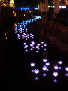光の川