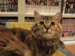上