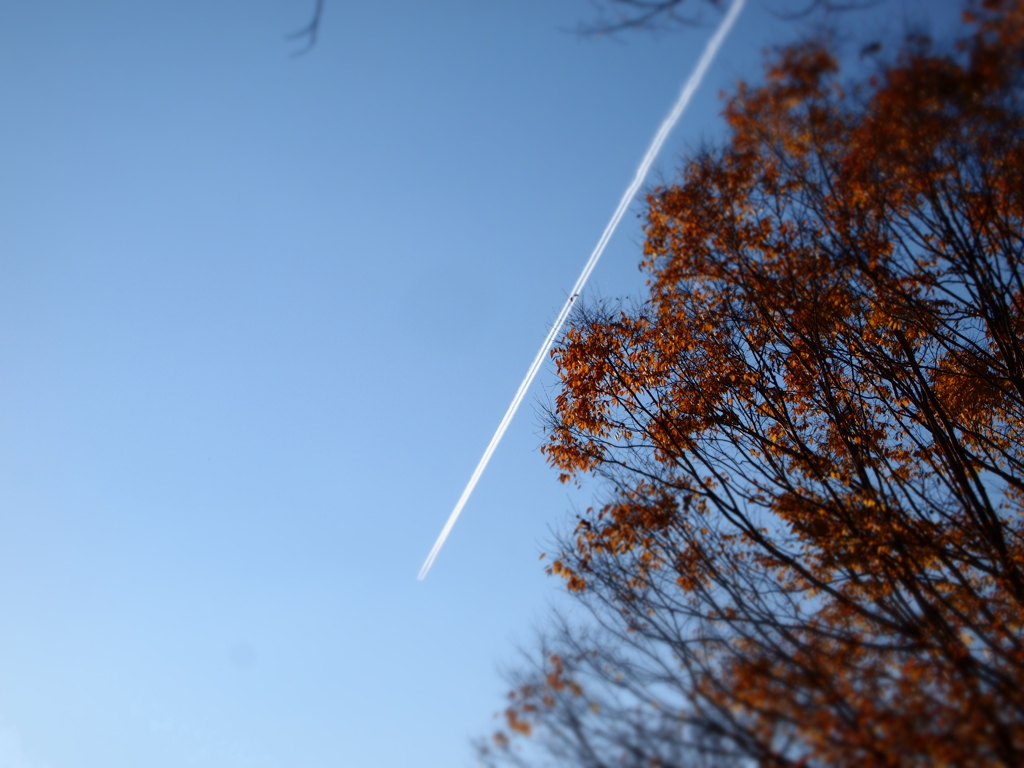 飛行機雲　-前-