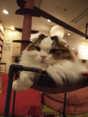 じとっ