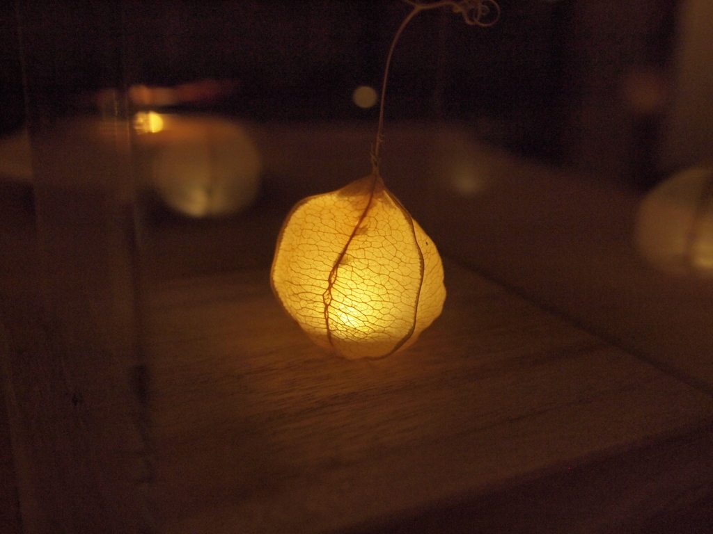 脈