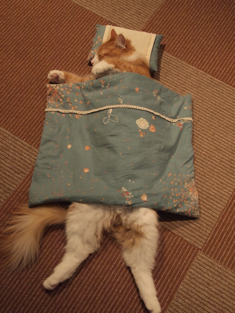 寝