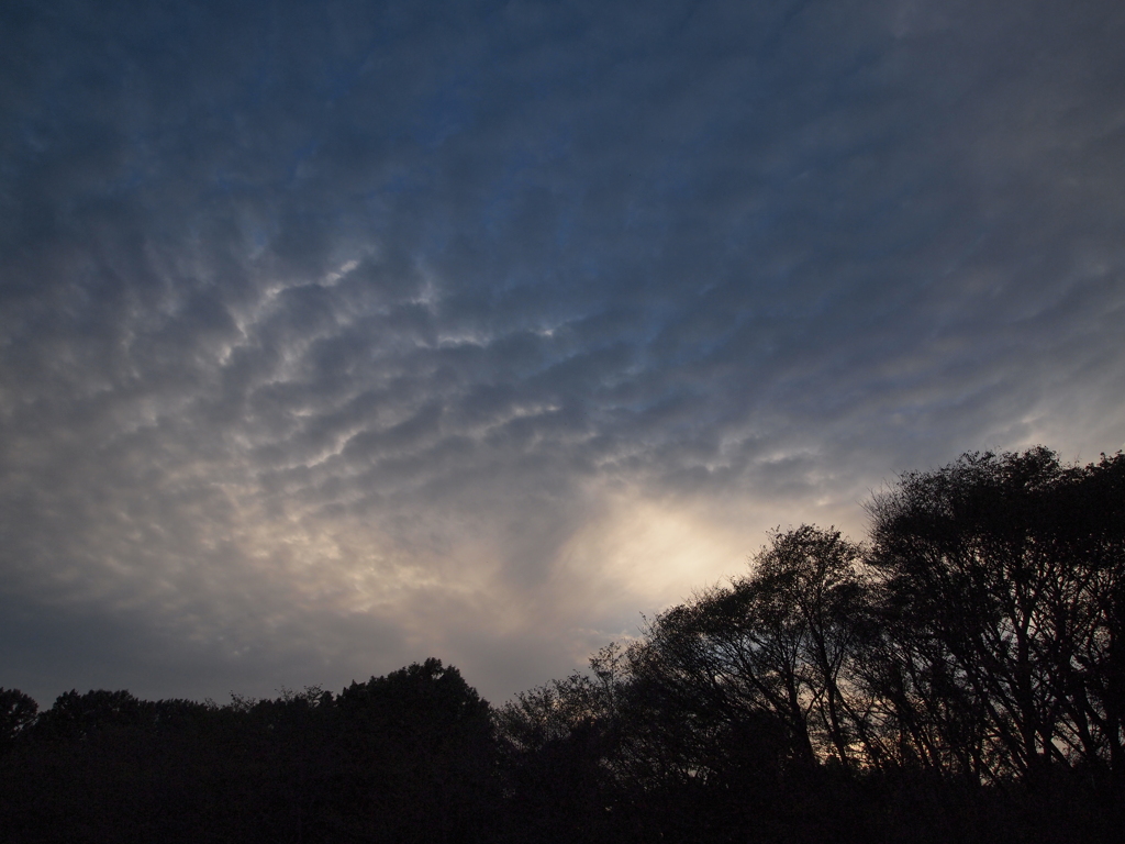 ある日の空　-2012/10/13-