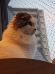 その目に映るもの