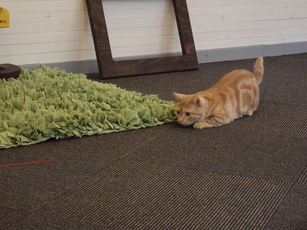 狙