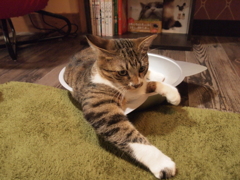 ものぐさ
