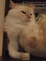ふー