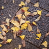 積