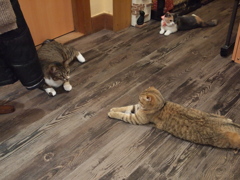 休憩