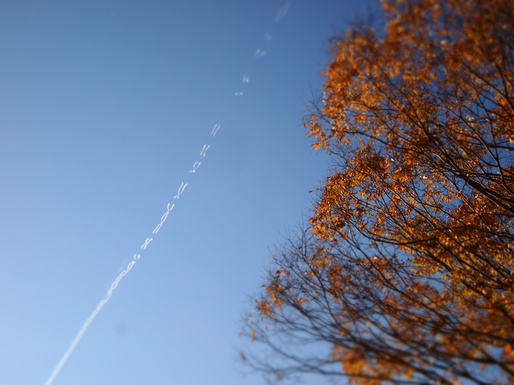 飛行機雲　-後-