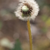 届