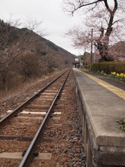 続