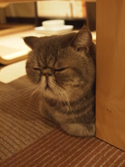 寝