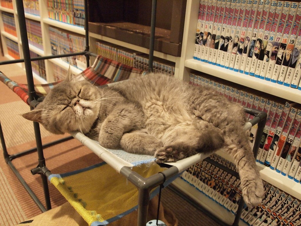 休憩休憩