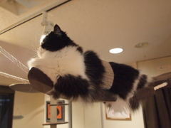 どーん