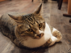 なぁに？