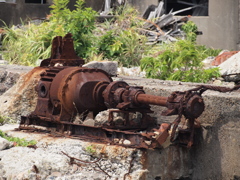 P9011846