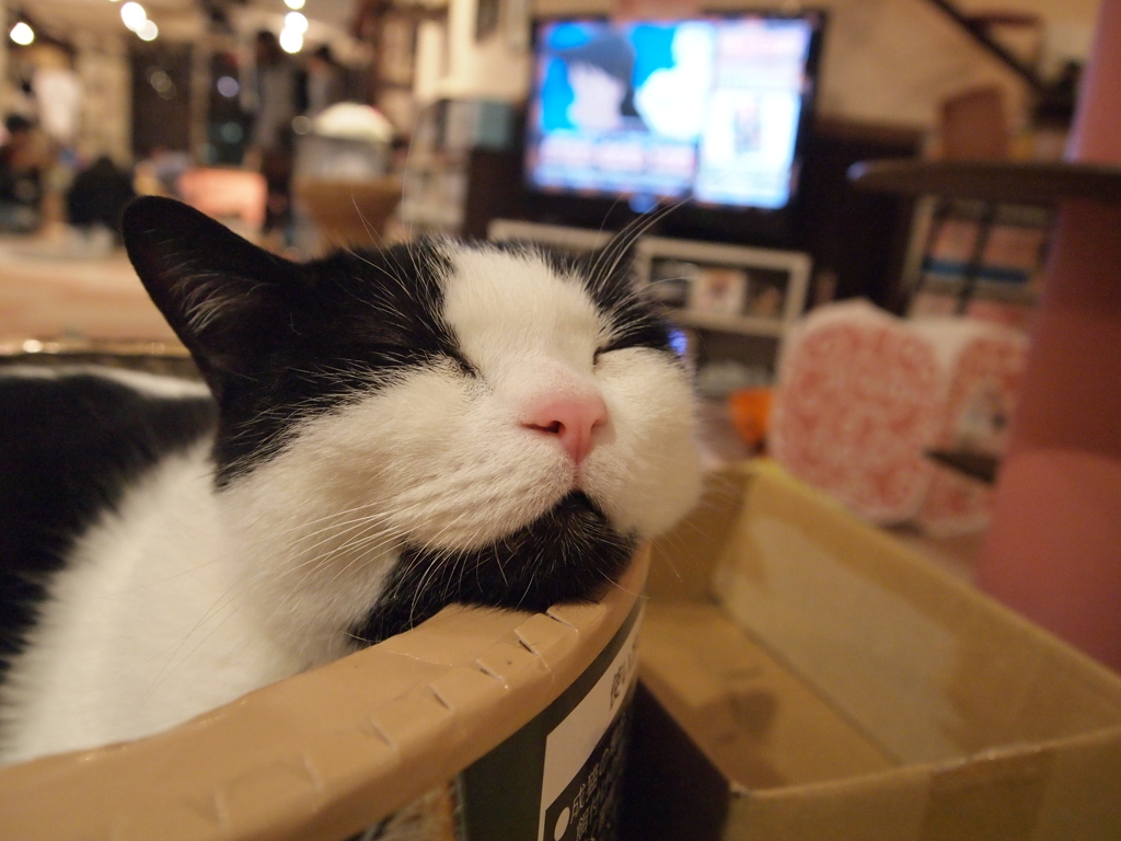 すー
