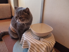 水が飲みたい…