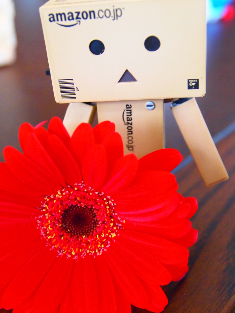 For　you