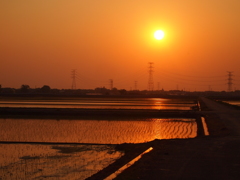今日が明日へ向かう