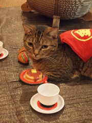 ピクニック