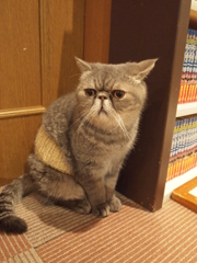 びくっ