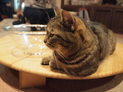 じー