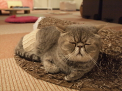 GWはゆっくり