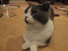 じー