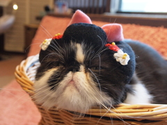 町娘