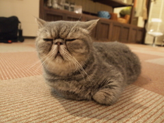 うーむ