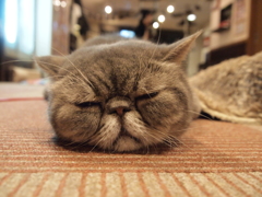 リラックス