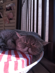 ちょっと休憩しませんか