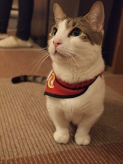 じー