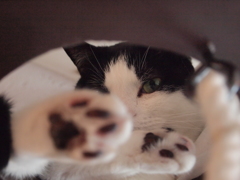 チラッ