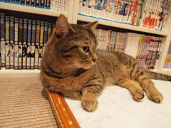 ふぅ