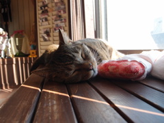 眠