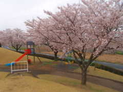 春
