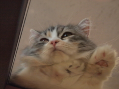 眠い…
