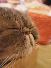 癒