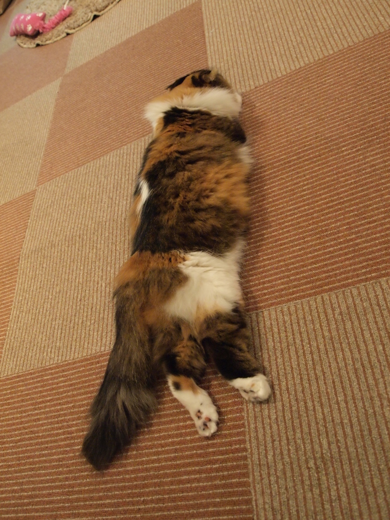リラックス