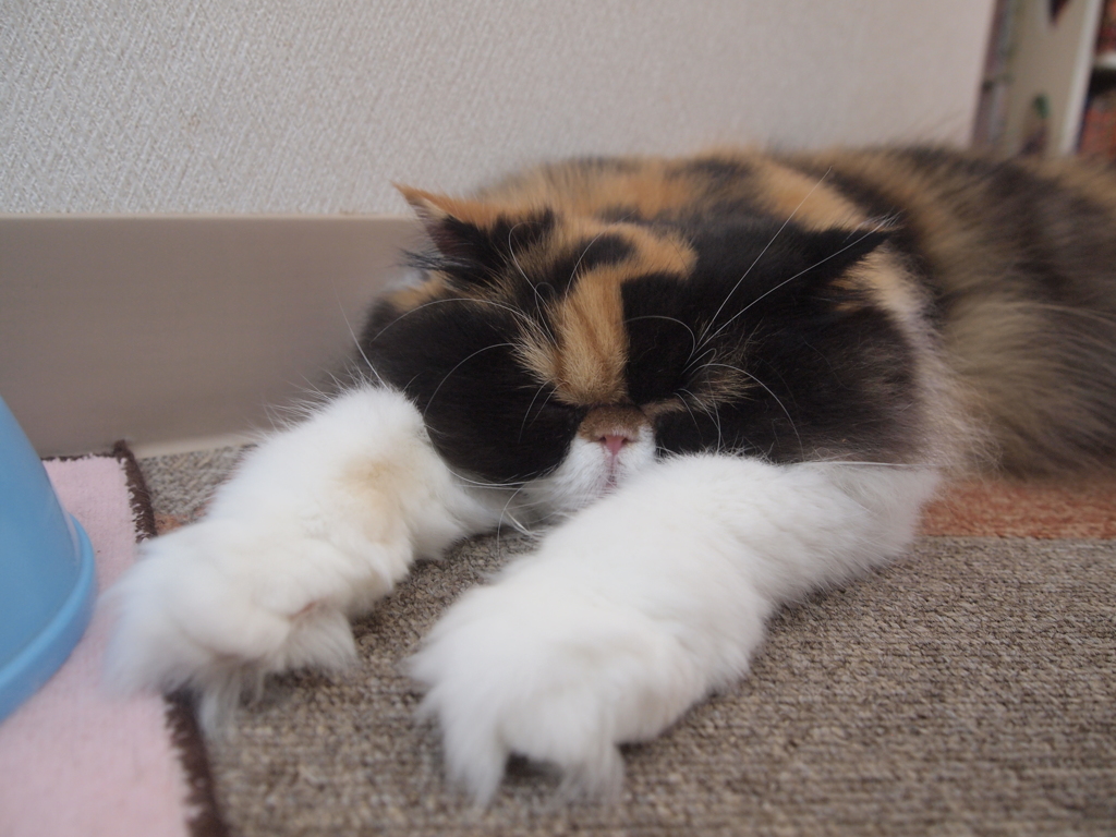 伸