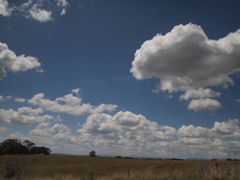 雲